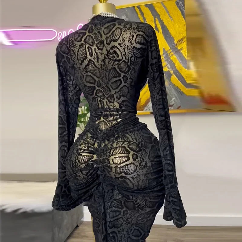 Women Full Sleeve Long Dress Lace Leopard See Through Ruched O-neck Evening Vestidos Sexy Party Maxi Dresses Vestidos